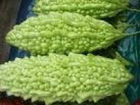 Memordica charantia extract Memordica charantia extract